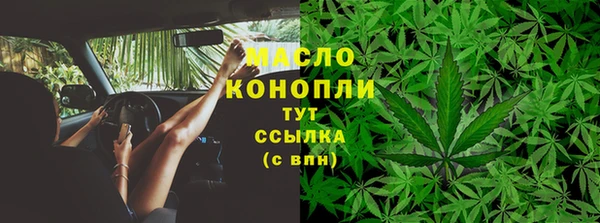 гашик Каменногорск
