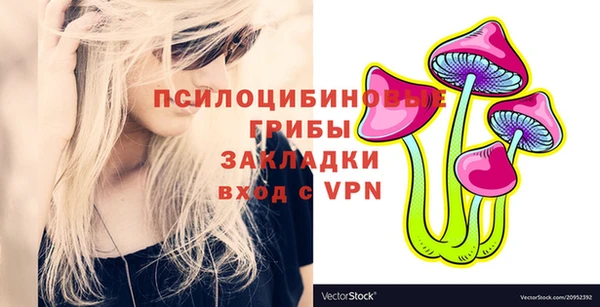 гашик Каменногорск