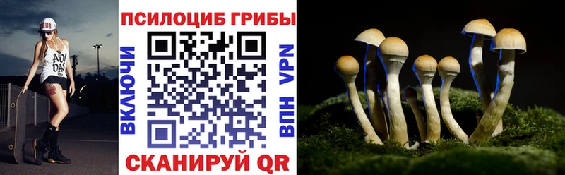 Купить  Бутурлиновка  Псилоцибиновые грибы ЛСД 